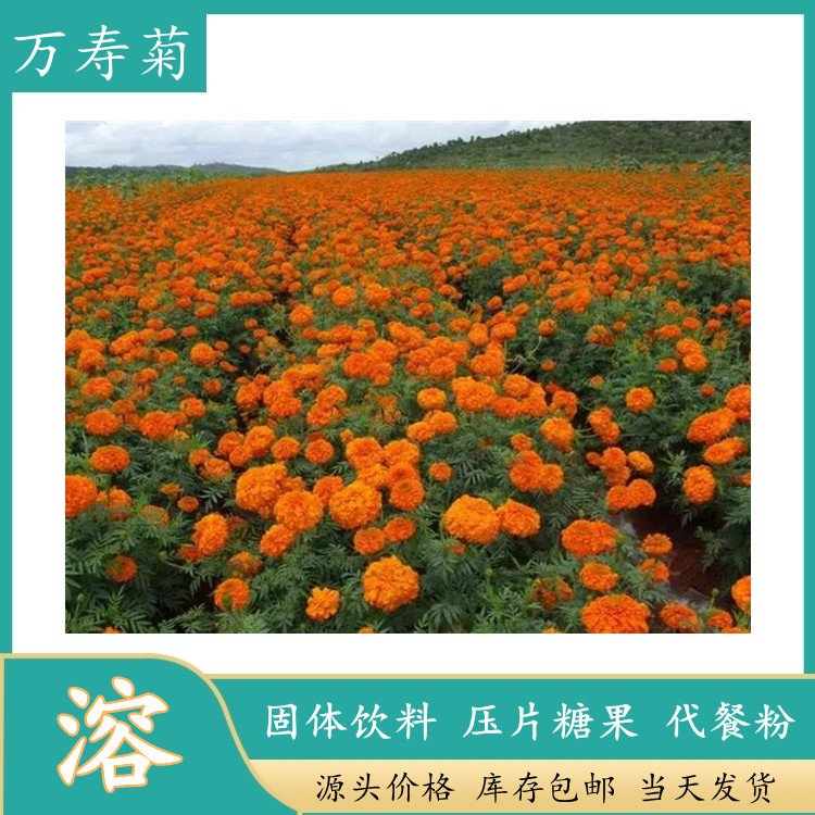 万寿菊提取物 喷雾干燥浓缩萃取 拆包打样一公斤可造粒