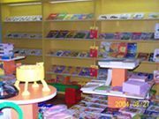 央视大风车玩具