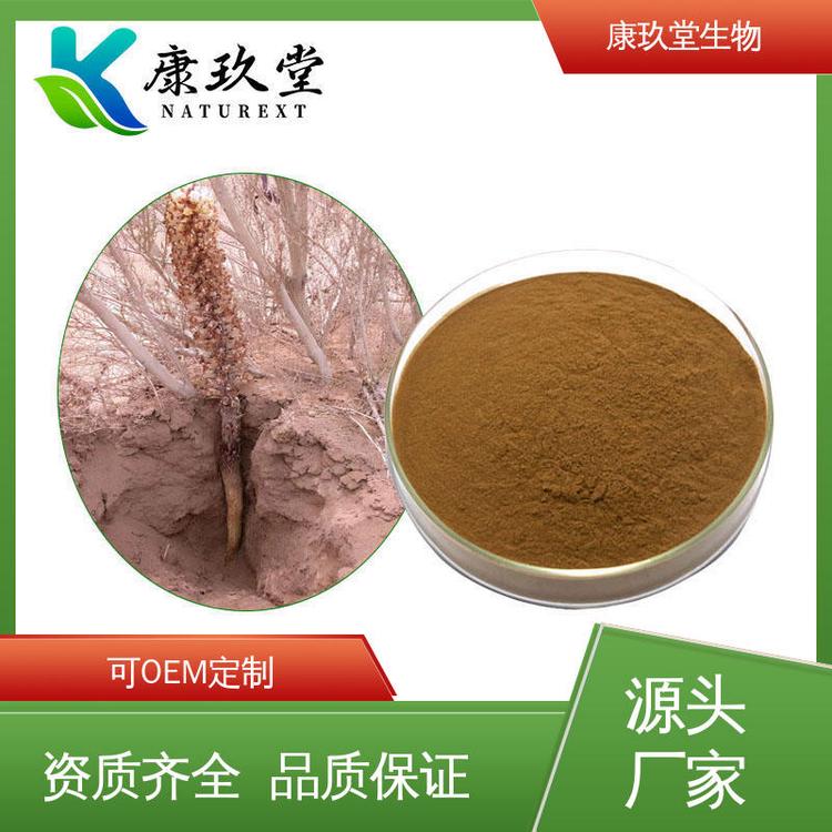 康玖堂 植物提取物 Cistanche Extract 棕红色粉末 设备先进