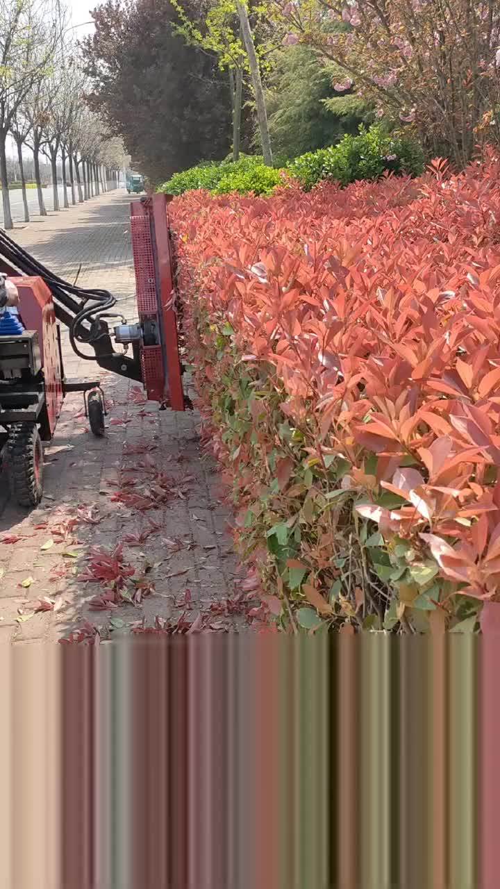 视频
