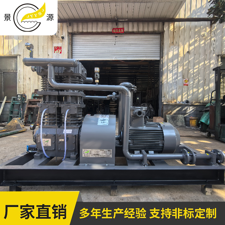 景源 ZW-2.0/0.1-5 丙烯 丁二烯压缩机 高效节能 防护等级高 使用寿命长