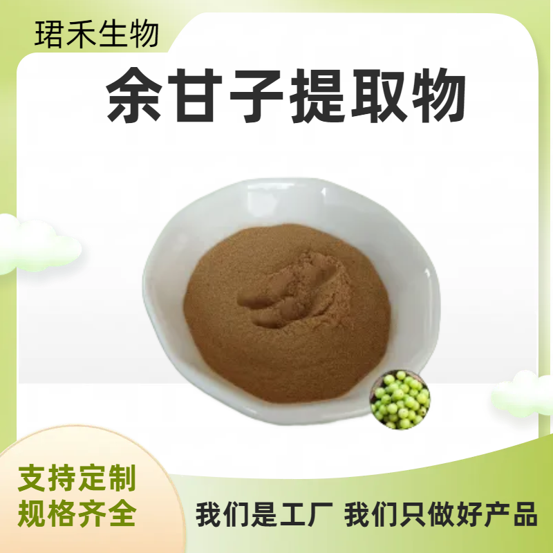 余甘子提取物 油甘子水溶粉 余甘子粉 固体饮料原料 资质齐全 多规格