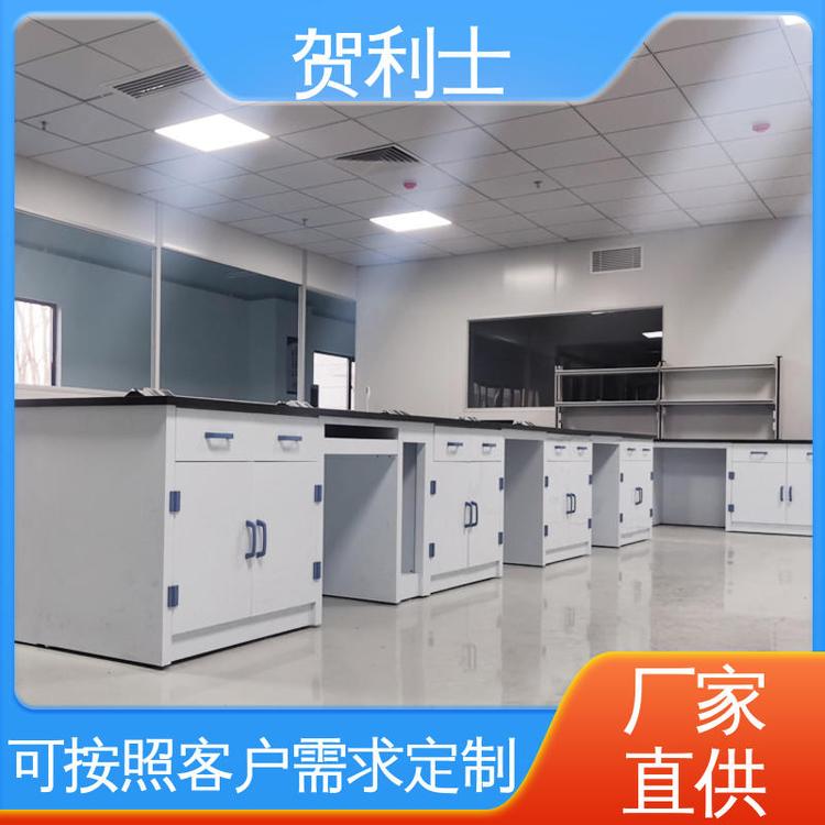 贺利士 化工厂实验室 食品药品生产研发 可按需定制 实验场所PP实验台