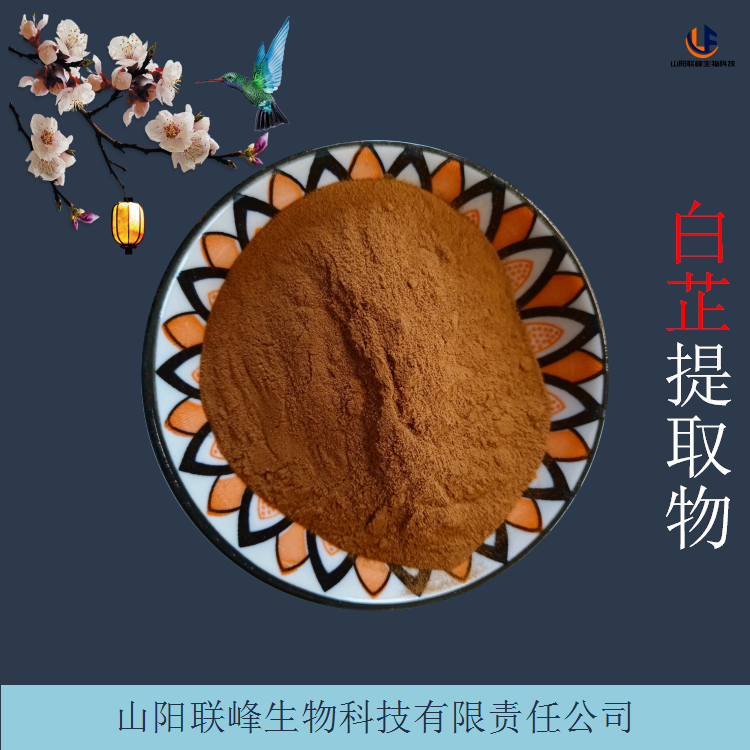 白芷提取物 10:1浓缩粉 易水溶 多种提取规格 接受定制
