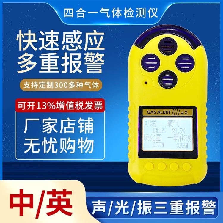 泰吉斯TS4000氯气检测仪 氨气探测器 可燃气体报警器