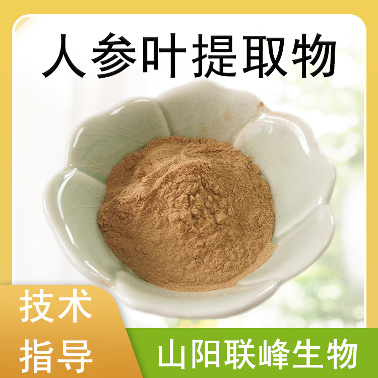 人参叶提取物 人参皂甙 10：1水溶人参粉 食品原料 植物萃取 1公斤/袋