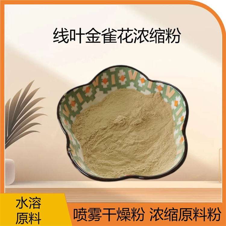 线叶金雀花提取物浓缩粉 高倍浓缩水提水溶粉 新资源食品原料