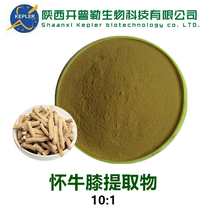 速溶牛膝粉 川牛膝提取物10:1 牛膝多糖 木兰花碱