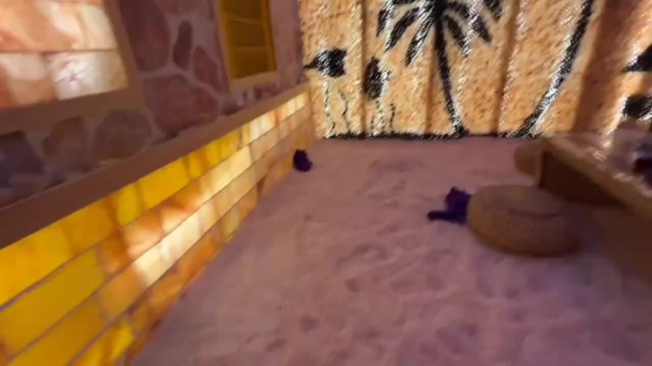 视频