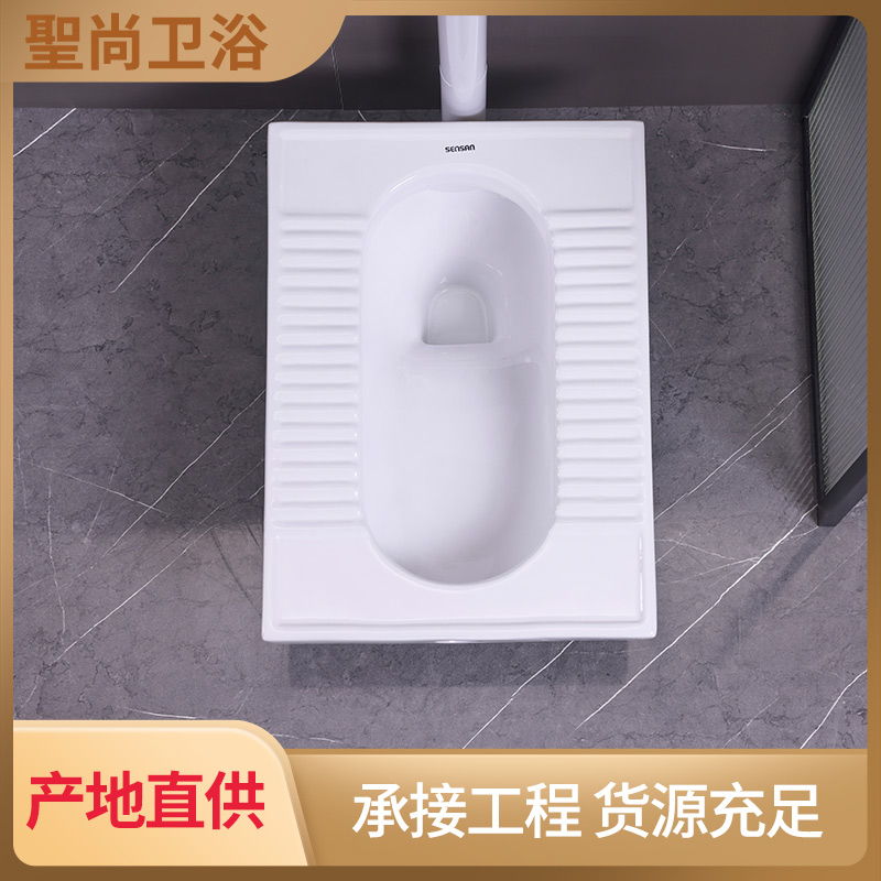 卫生间带弯管水箱蹲坑 支持定制 一站式采购服务 聖尚