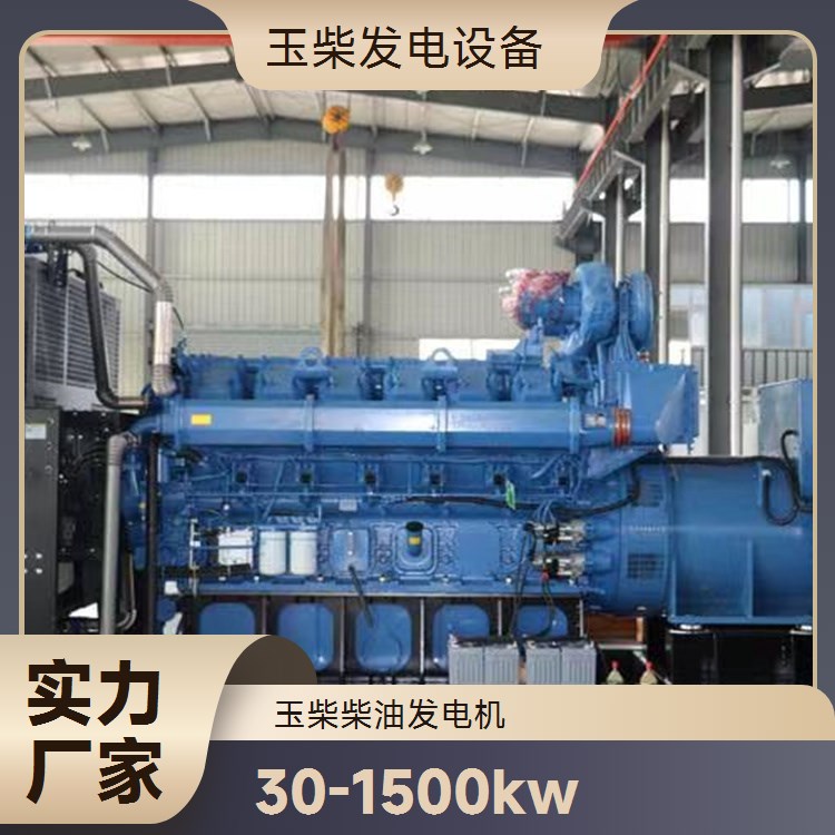 玉柴 工作效率高 工业级电站备用机组 800KW柴油发电机