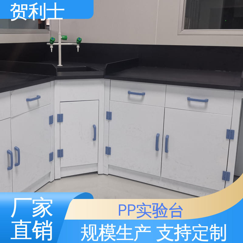 厂家直供 实验室pp工作台 PP实验台 食品药品生产研发 可按需定制