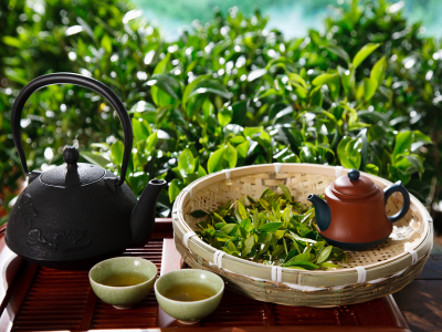 昌泰普洱