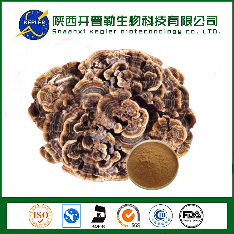 云芝多糖 云芝提取物 黄棕色粉末 保健食品原料备案工厂