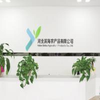 叶虹时光