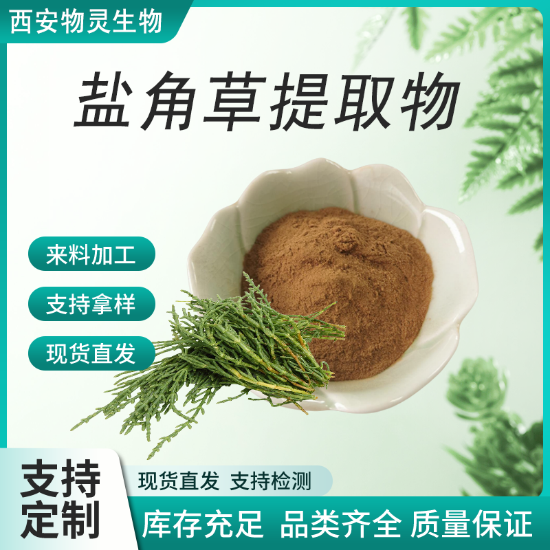 盐角草提取物 10:1 水溶 性粉末 植物提取物 化妆品原料 物灵生物 可定制