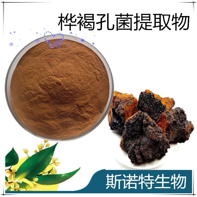 斯诺特 桦褐孔菌提取物 保健原料 高倍浓缩 速溶粉