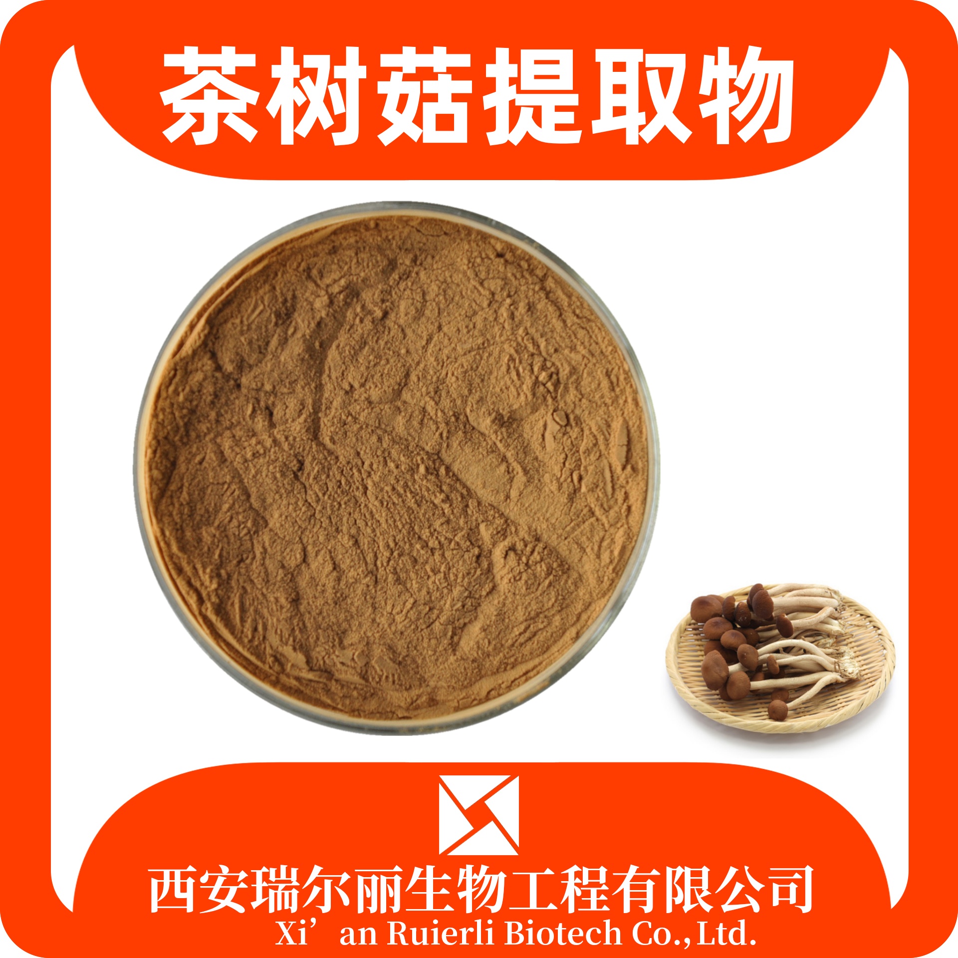 茶树菇提取物 水溶茶树菇粉 速溶浓缩粉 比例萃取 浸膏 SC证瑞尔丽生物