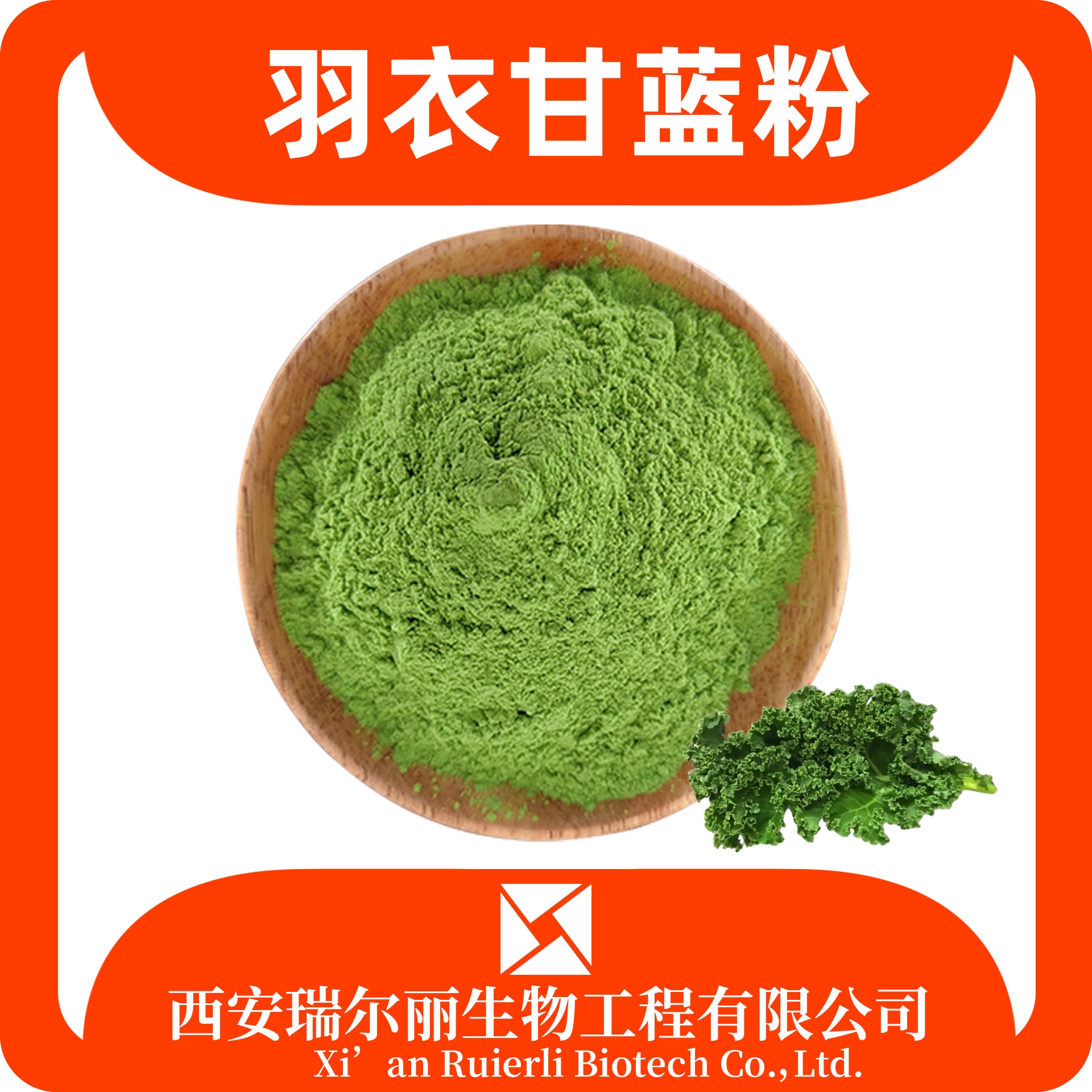 羽衣甘蓝粉 99% 速溶浓缩羽衣甘蓝提取物 可定制 瑞尔丽生物 源头厂家