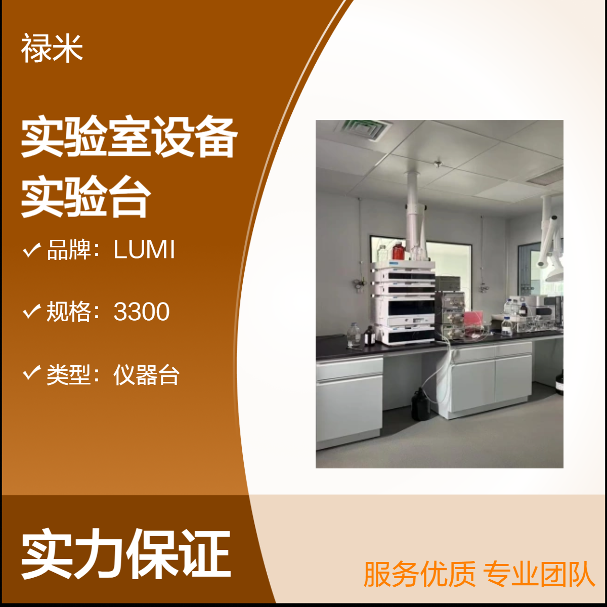 LUMI 实验室设备实验台抗重抗冲击化工仪器台 精选材质