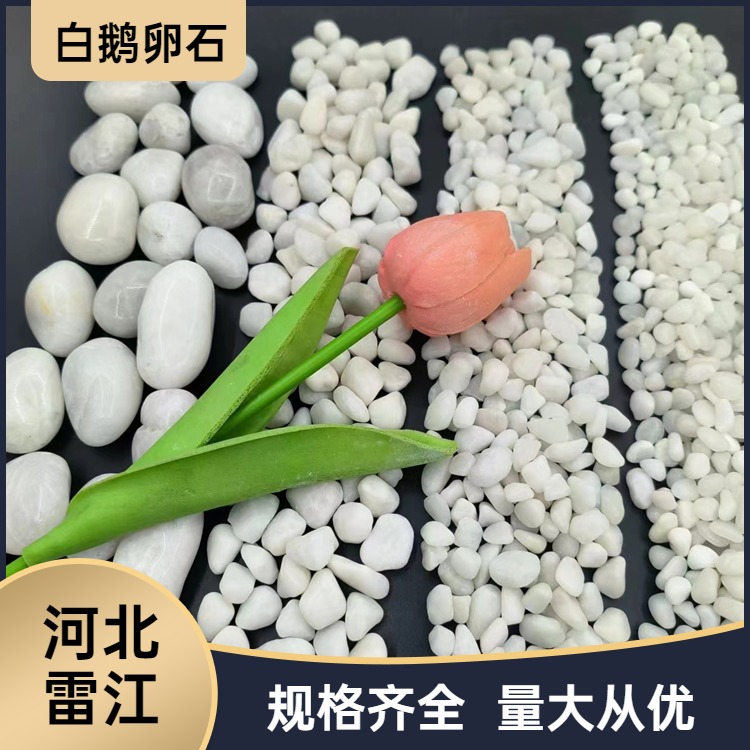 枯山水庭院阳台抛光白卵石 透水骨料 机制1-2cm白石子 磨圆白砾石子