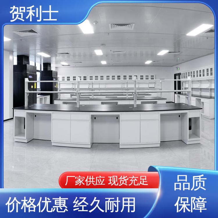 科研院校制药 全钢实验台 耐火 规模生产 支持定制 贺利士