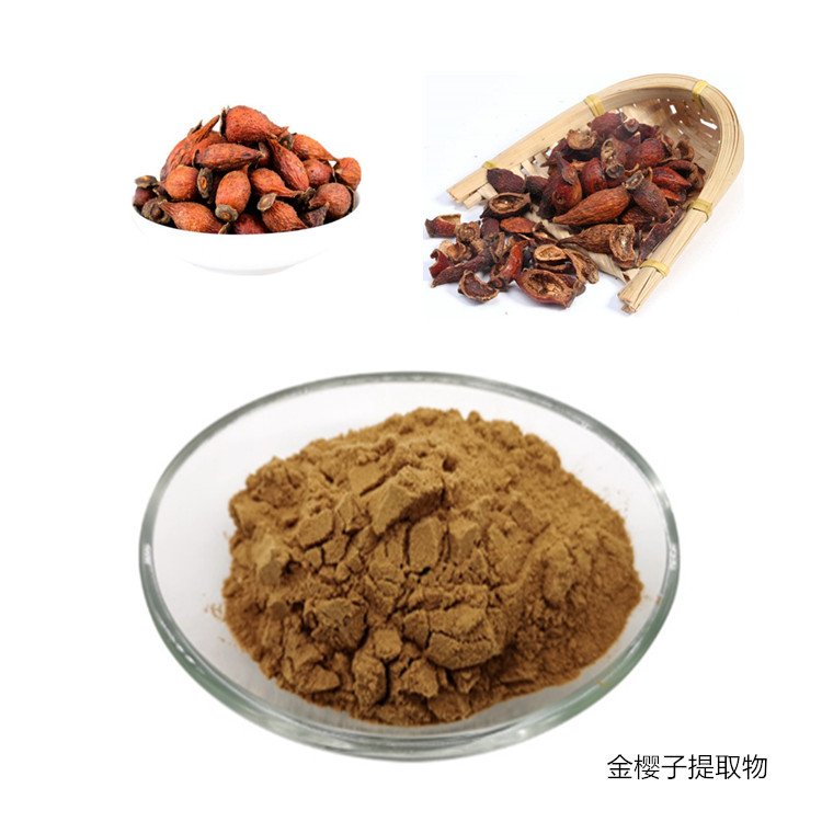 金樱子提取物 10倍浓缩 刺榆子粉 溶水无沉淀 支持小样