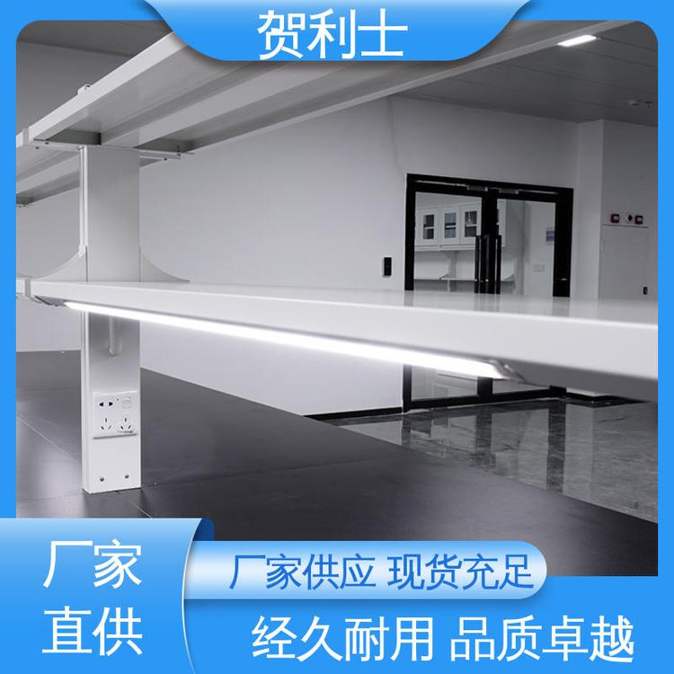 贺利士 性能优越 匠心优选 多年经验 全钢中央实验台 耐火
