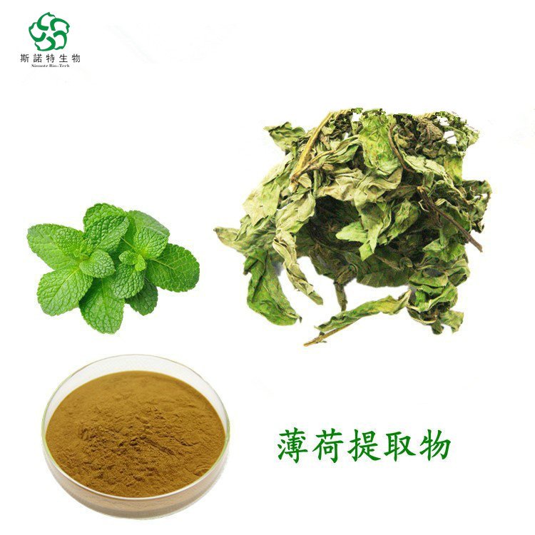 薄荷提取物 水溶性粉末 密闭阴凉 防潮避光处存放