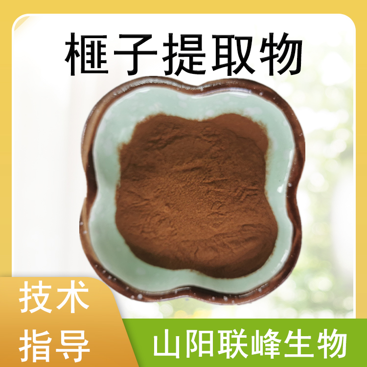 榧子提取物 10：1浓缩浸膏粉 水溶 榧子粉 植物萃取原料 1公斤/袋