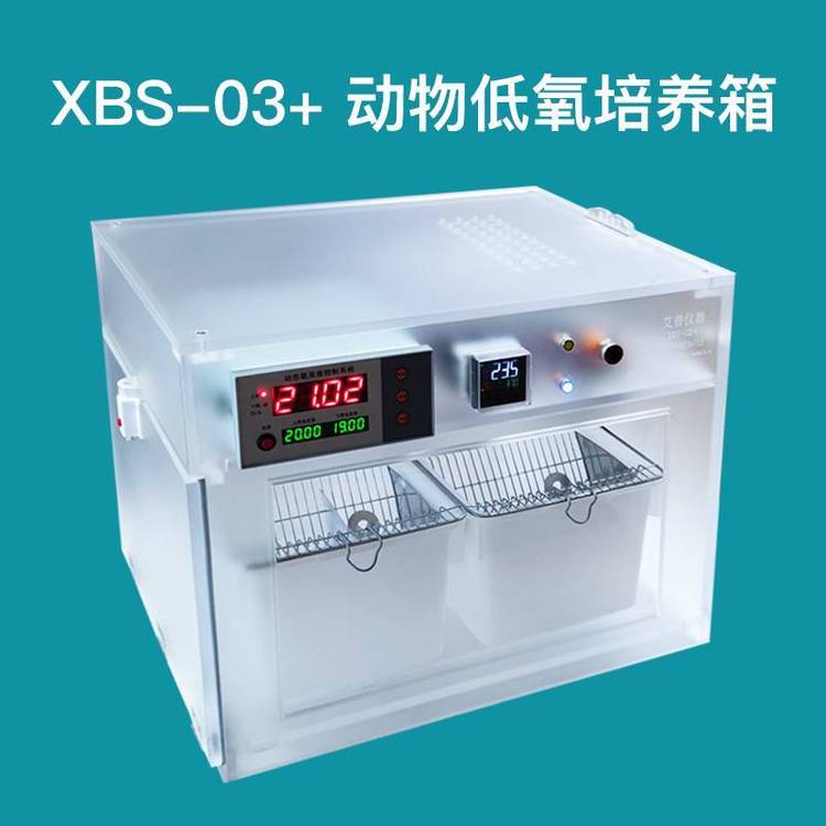 XBS-03+大小鼠低氧培养箱缺氧富氧培养箱实验室氧气控制浓度系统