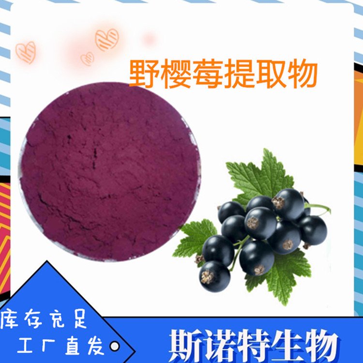 斯诺特 野樱莓提取物 浓缩速溶 不老莓果粉 食品级原料