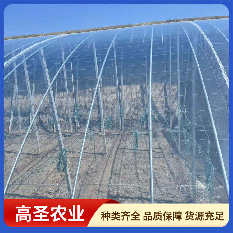 农膜 保温透明度好 无滴膜 用于果蔬育苗 提高棚内光强
