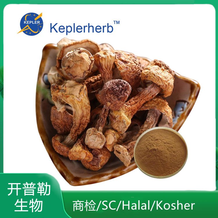 姬松茸提取物10:1 巴西蘑菇提取物 姬松茸粉 KPL-007