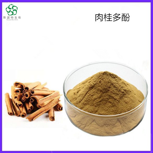 肉桂多酚 有效含量30% 棕黄色粉末 菌落总数小于1000