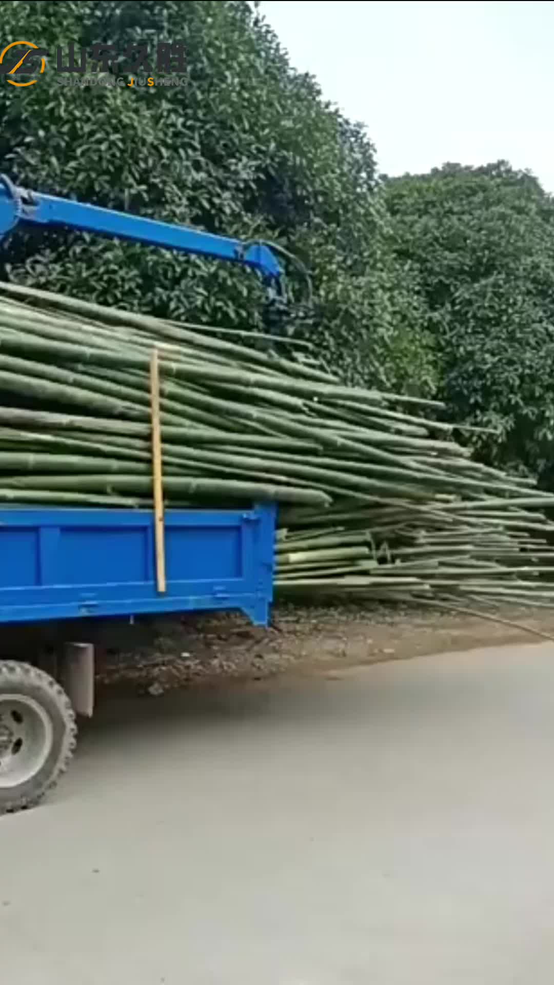 视频