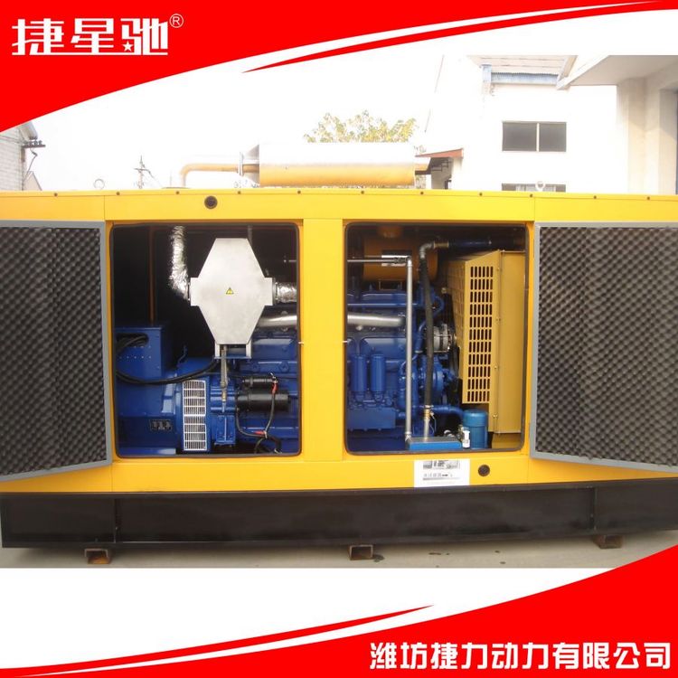 捷力动力 200KW 天然气 沼气 柴油 静音 集装箱 发电机组