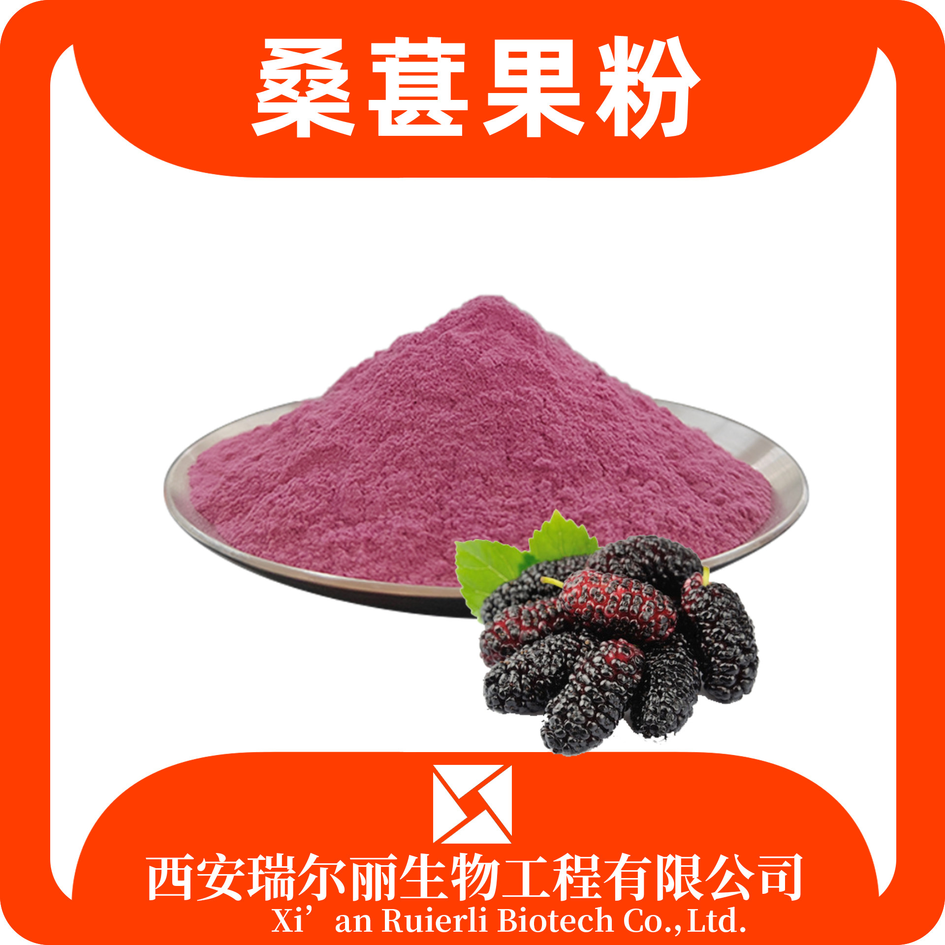 桑葚粉/果粉 速溶 固体饮料 SC证 天然桑葚汁粉 瑞尔丽生物 源头厂家
