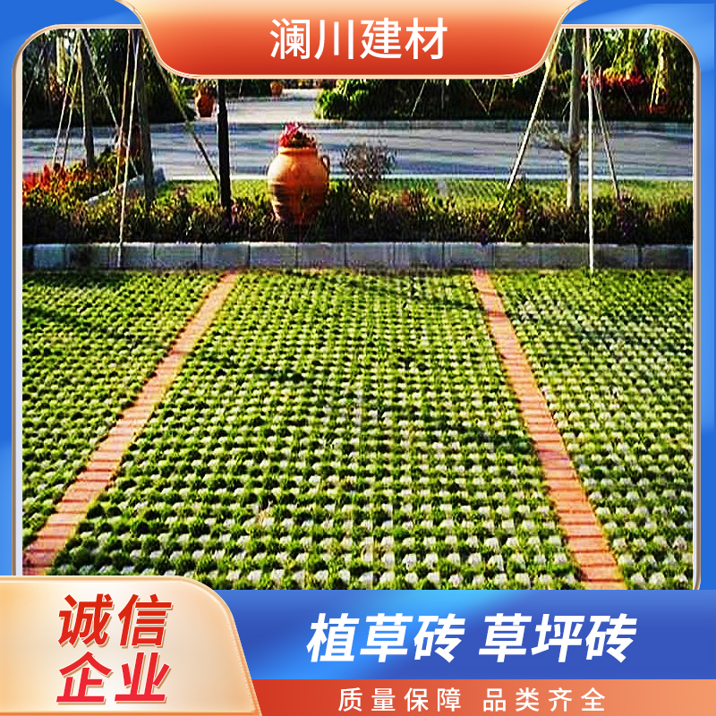 防滑耐磨 八字型植草砖 值得信赖 人行道绿化砖