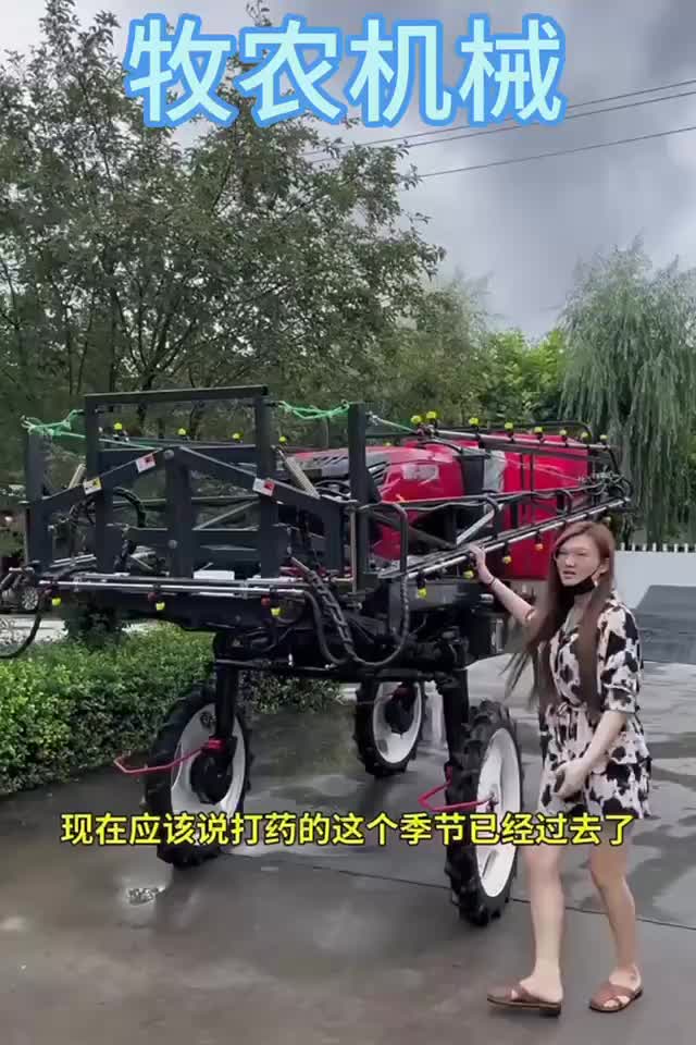 视频
