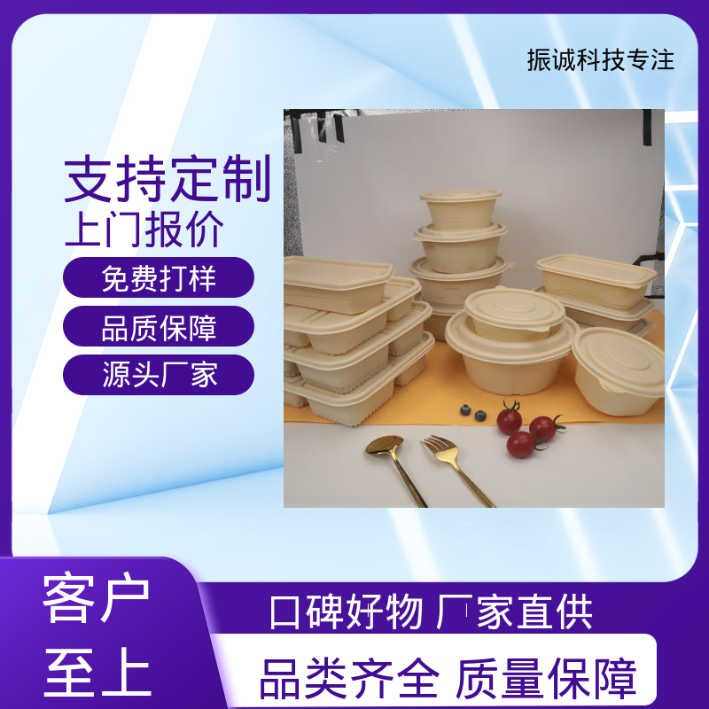 振诚科技 可冷藏 带盖 餐厅餐馆都能用 外卖打包盒