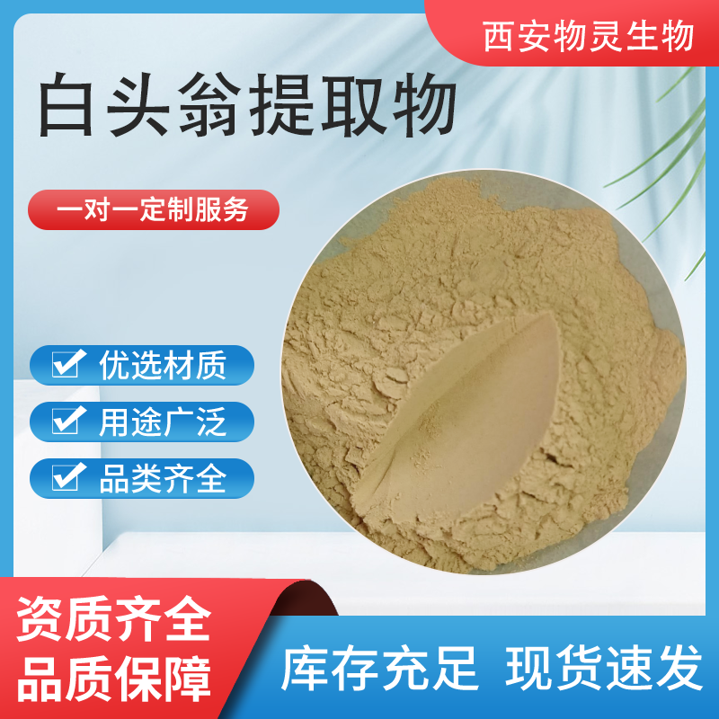 白头翁提取物 10:1 浓缩浸膏粉 老翁须粉 喷雾干燥萃取 1公斤起订