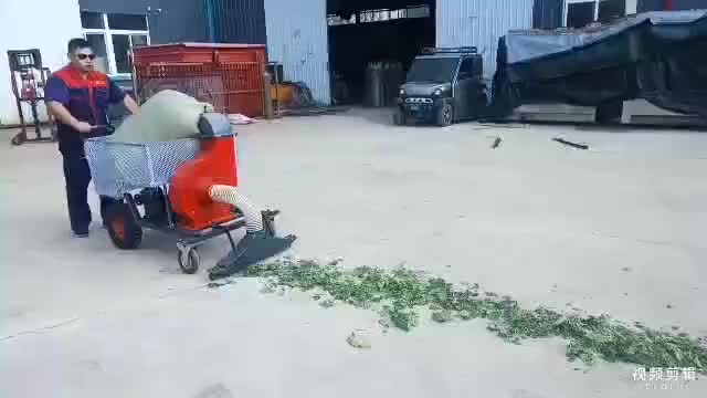 视频