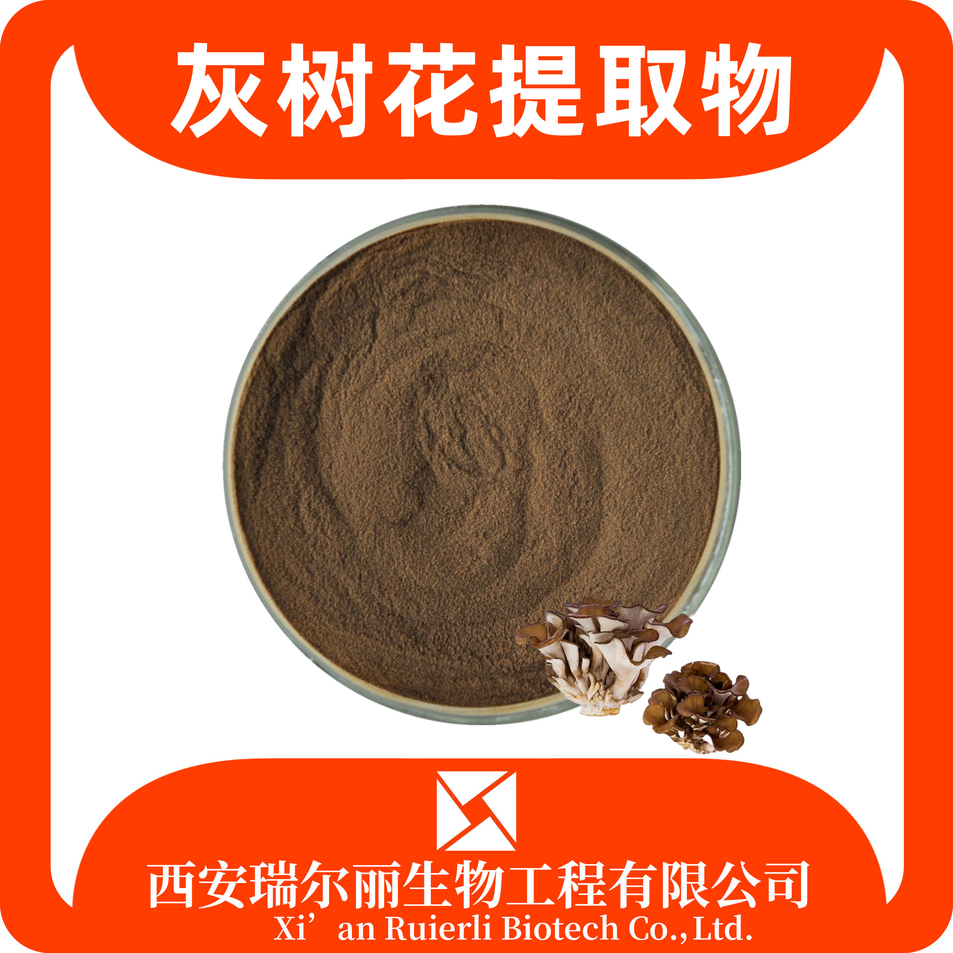 灰树花提取物 速溶灰树花粉 可定制多糖原料 源头厂家 瑞尔丽生物
