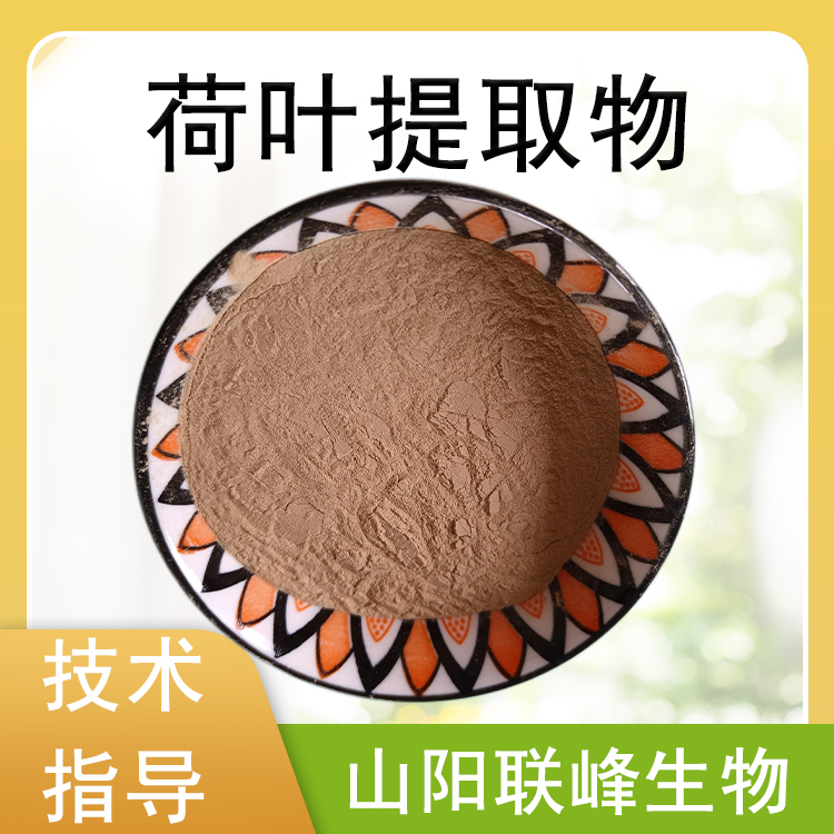 荷叶提取物 荷叶碱 浓缩浸膏粉 荷叶粉 10：1棕黄色粉末 1公斤/袋