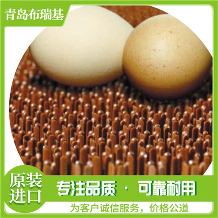 比利时进口产蛋箱地垫 草垫 减少地板蛋 方便清洁