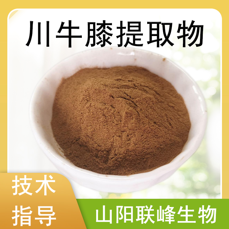 川牛膝提取物 牛膝多糖 10：1川牛膝浓缩粉 食品原料 sc工厂