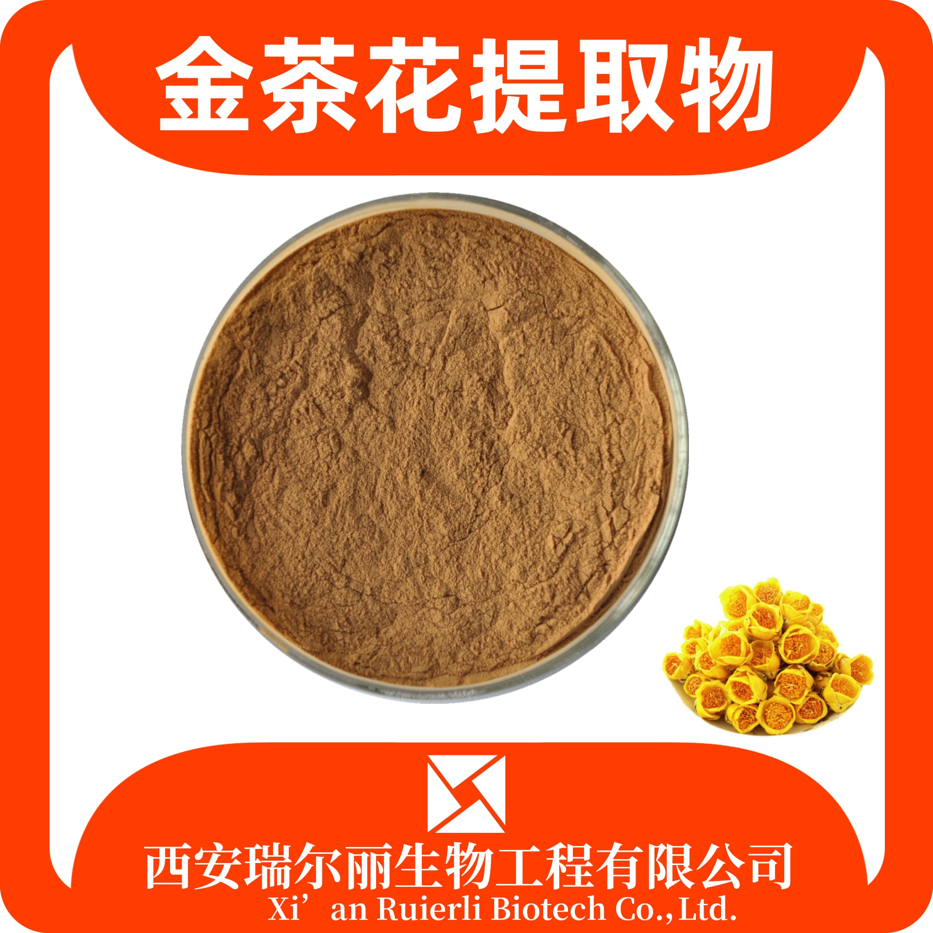 金茶花提取物 10:1 速溶金茶花粉 SC证可定制 瑞尔丽生物 源头厂家