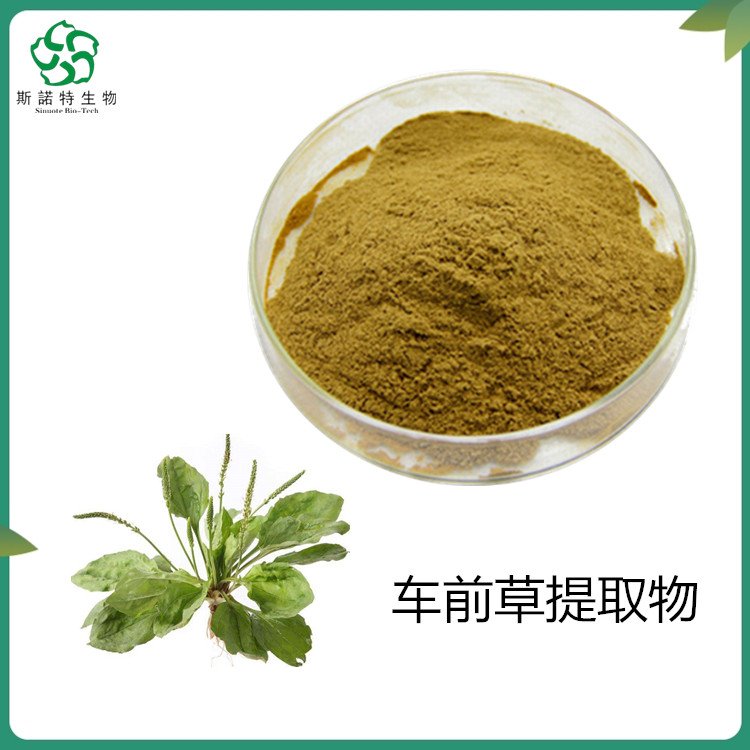 车前草粉 比例规格 水溶萃取 性状粉末 流动性好 包邮