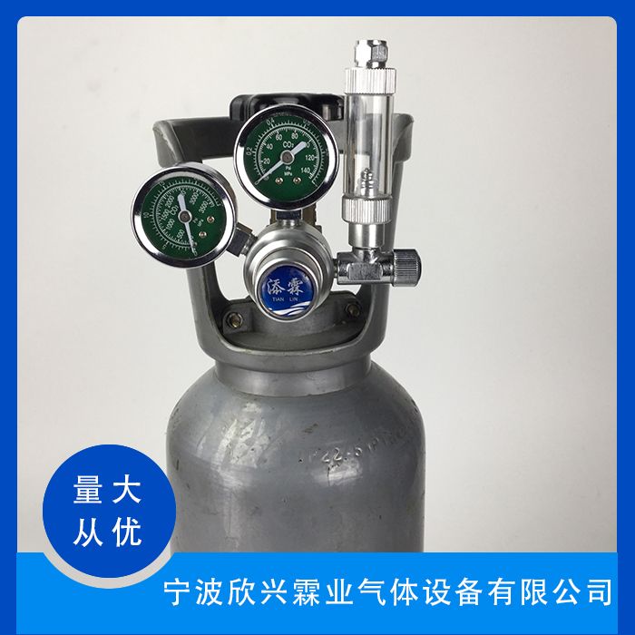 不易磨损 双表设计W21.8进气螺纹 气体减压阀 F218-B02 添霖